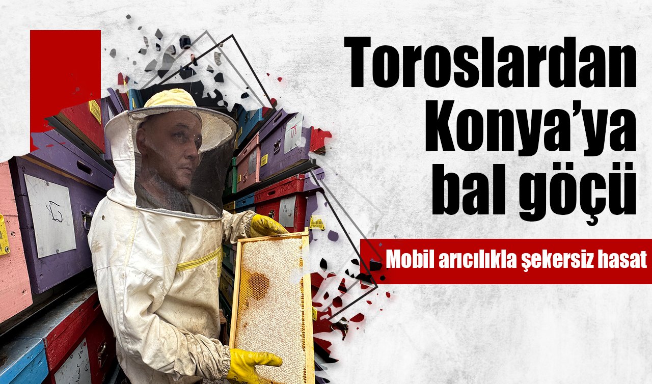 Toroslardan Konya’ya bal göçü: Mobil arıcılıkla şekersiz hasat