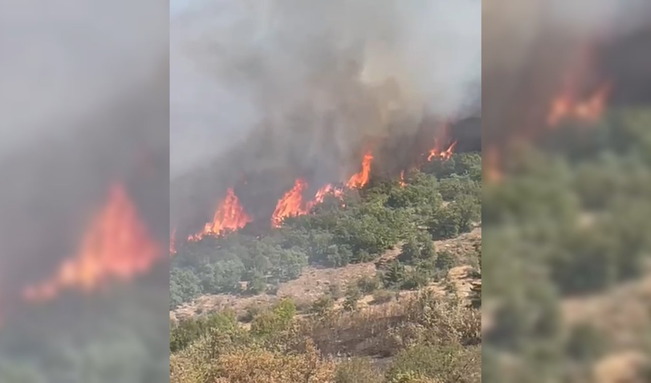 Malatya’da orman yangını