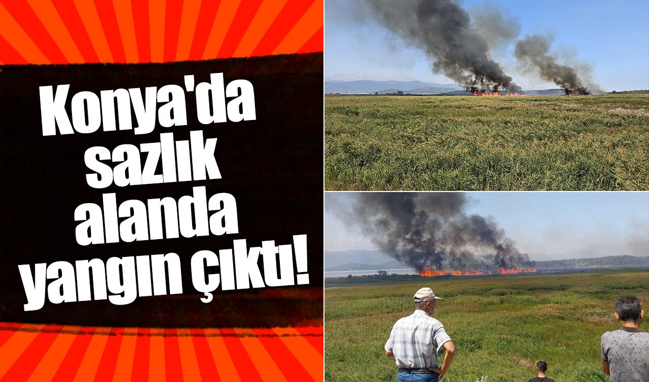 Konya’da sazlık alanda yangın çıktı!