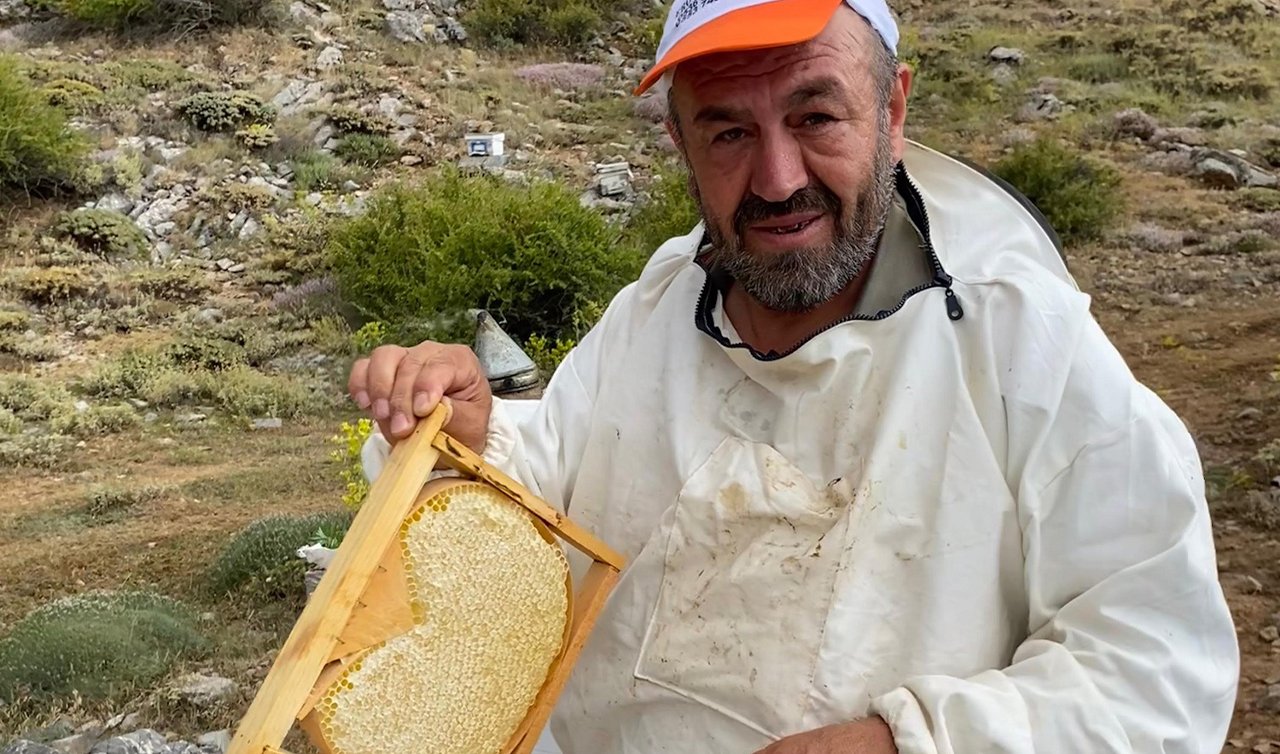 Konya’da bal hasadı tamamlandı