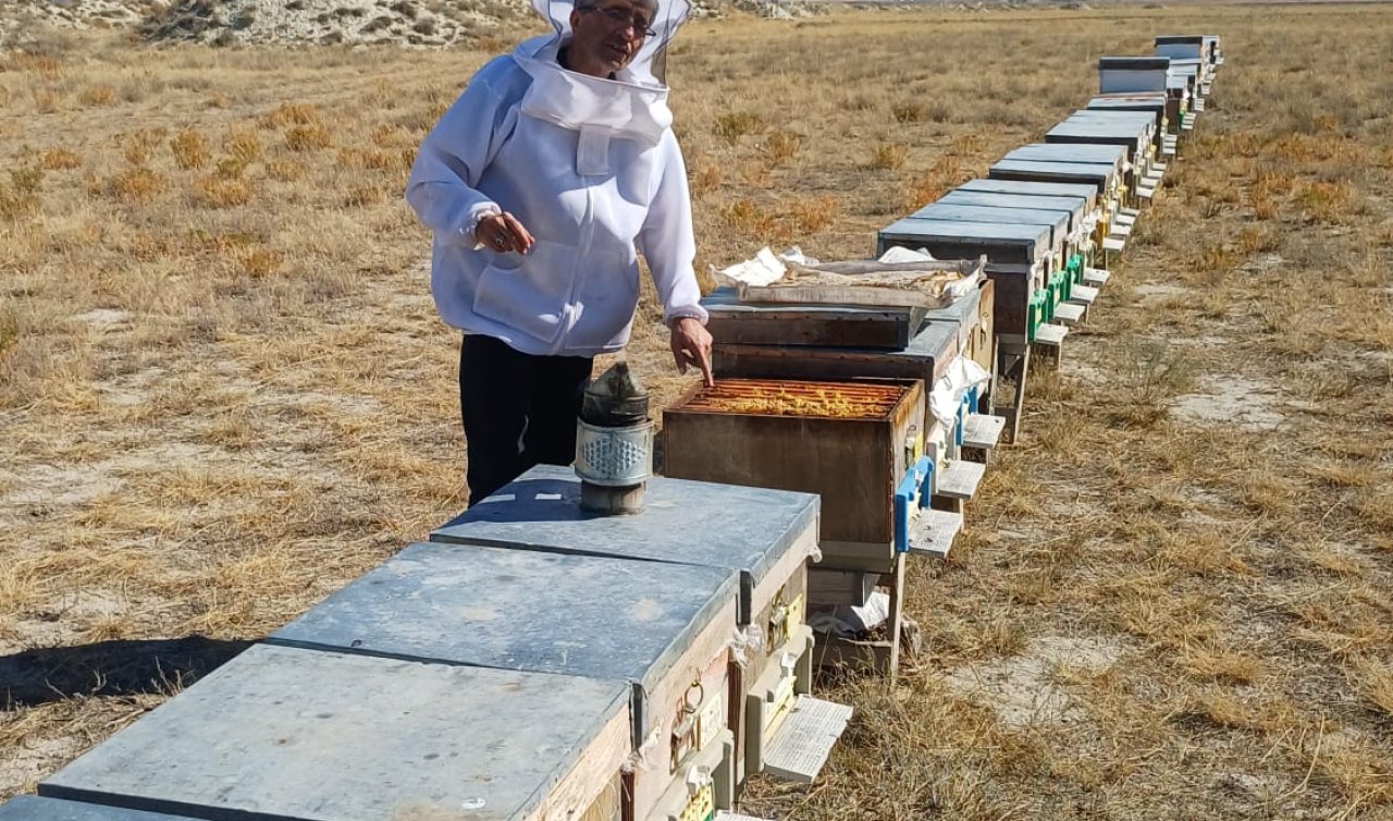 Konya’da arılı kovan destekleme sayımları devam ediyor