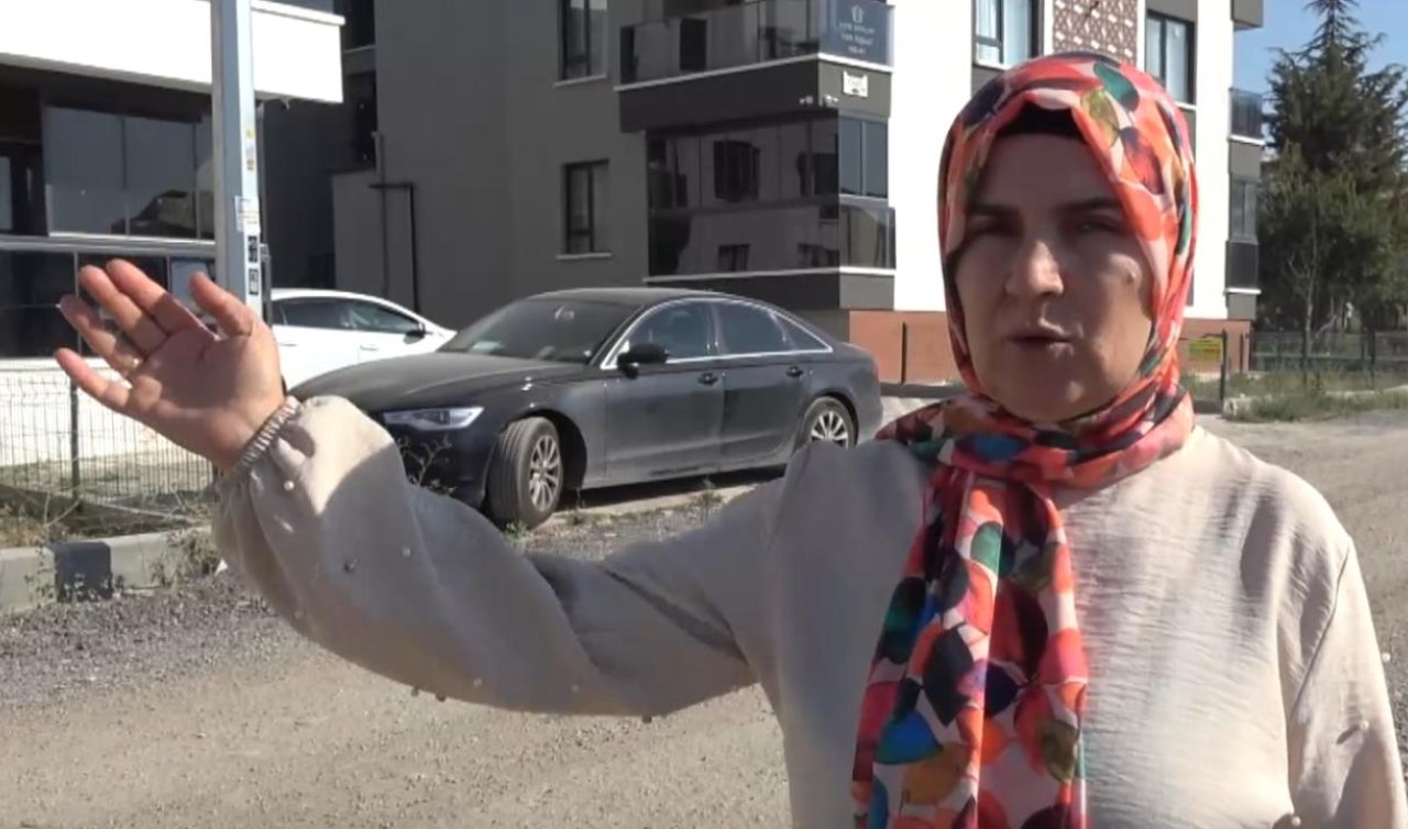 Köpeğini gezdirirken tasmasız kangalların hedefi oldu