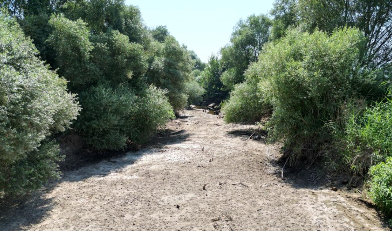 Kuraklığın etkisiyle Gediz Nehri’nin bazı bölümleri kurudu