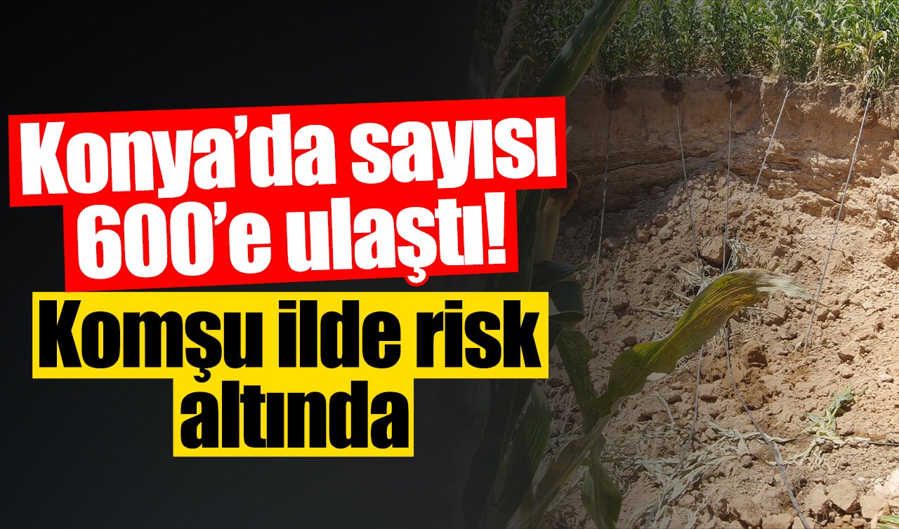 Konya’da 600’ü buldu! Komşu ilde risk altında