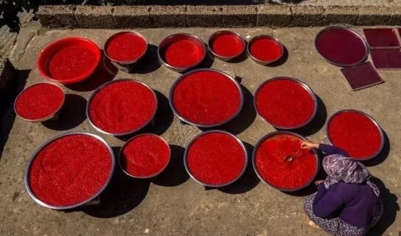 Konya’da ev yapımı salça fiyatı belli oldu!