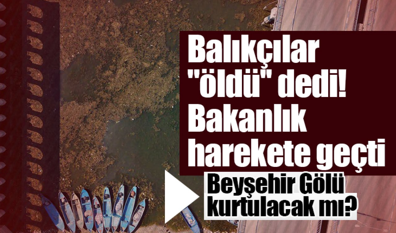 Balıkçılar “öldü’’ dedi! Bakanlık harekete geçti: Beyşehir Gölü kurtulacak mı?