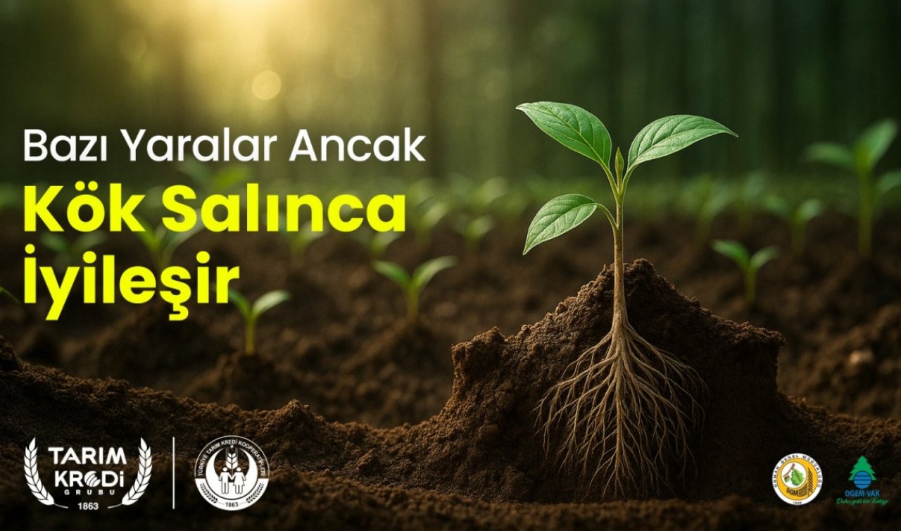 Tarım Kredi’den 62 bin fidanlık anlamlı destek: “Bazı yaralar ancak kök salınca iyileşir’’