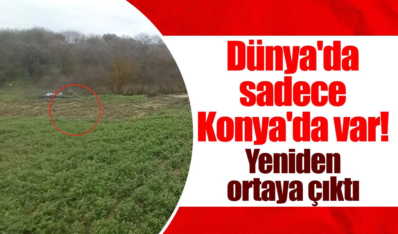 Dünya’da sadece Konya’da var! Yeniden ortaya çıktı