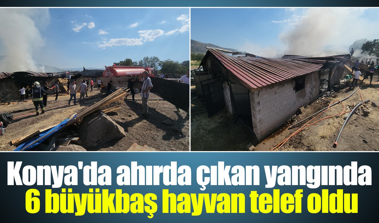 Konya’da ahırda çıkan yangında 6 büyükbaş hayvan telef oldu