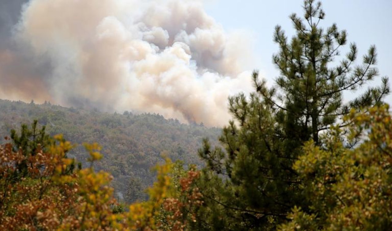 Karabük’te orman yangını: 5 gözaltı
