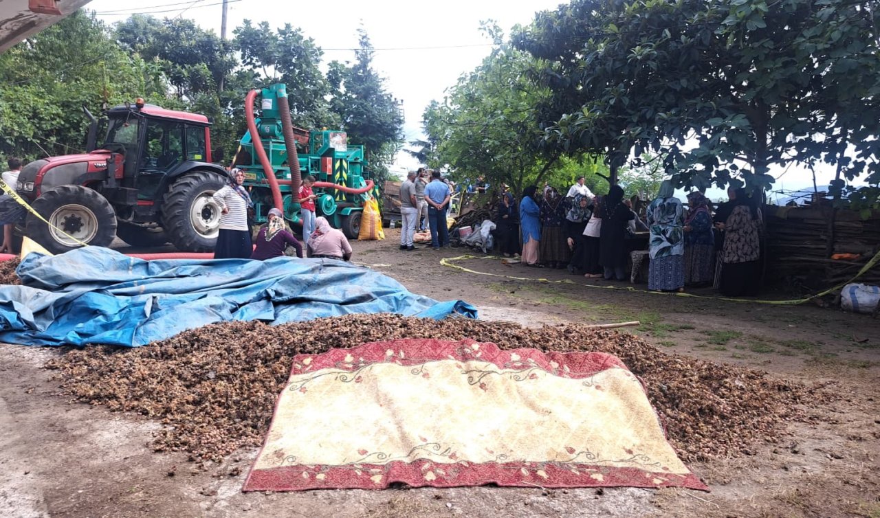 Silahlı kavga: 2 kişi hayatını kaybetti