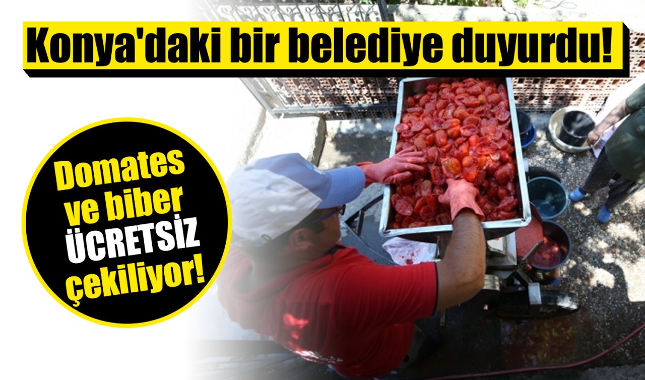 Konya’daki bir belediye duyurdu! Domates ve biber ÜCRETSİZ çekiliyor