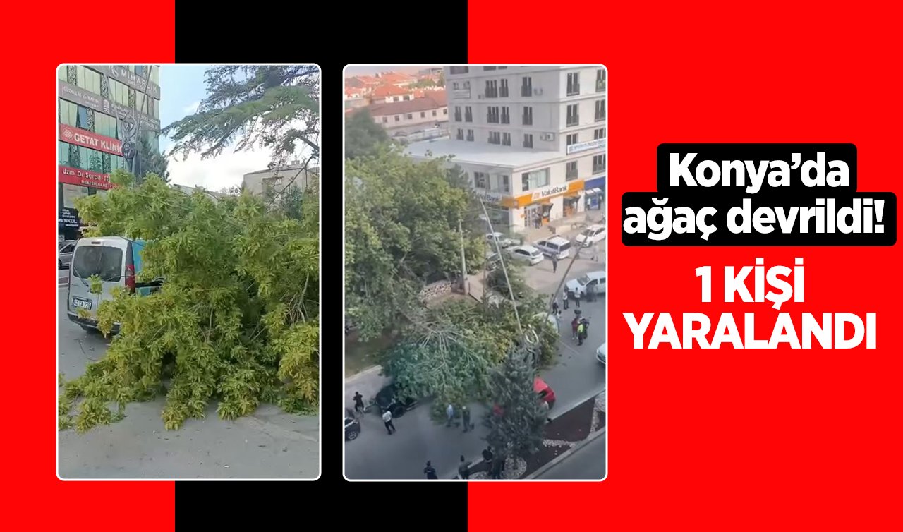 Konya’da ağaç devrildi! 1 kişi yaralandı