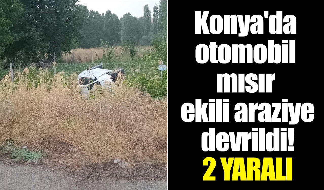 Konya’da otomobil mısır ekili araziye devrildi: 2 yaralı