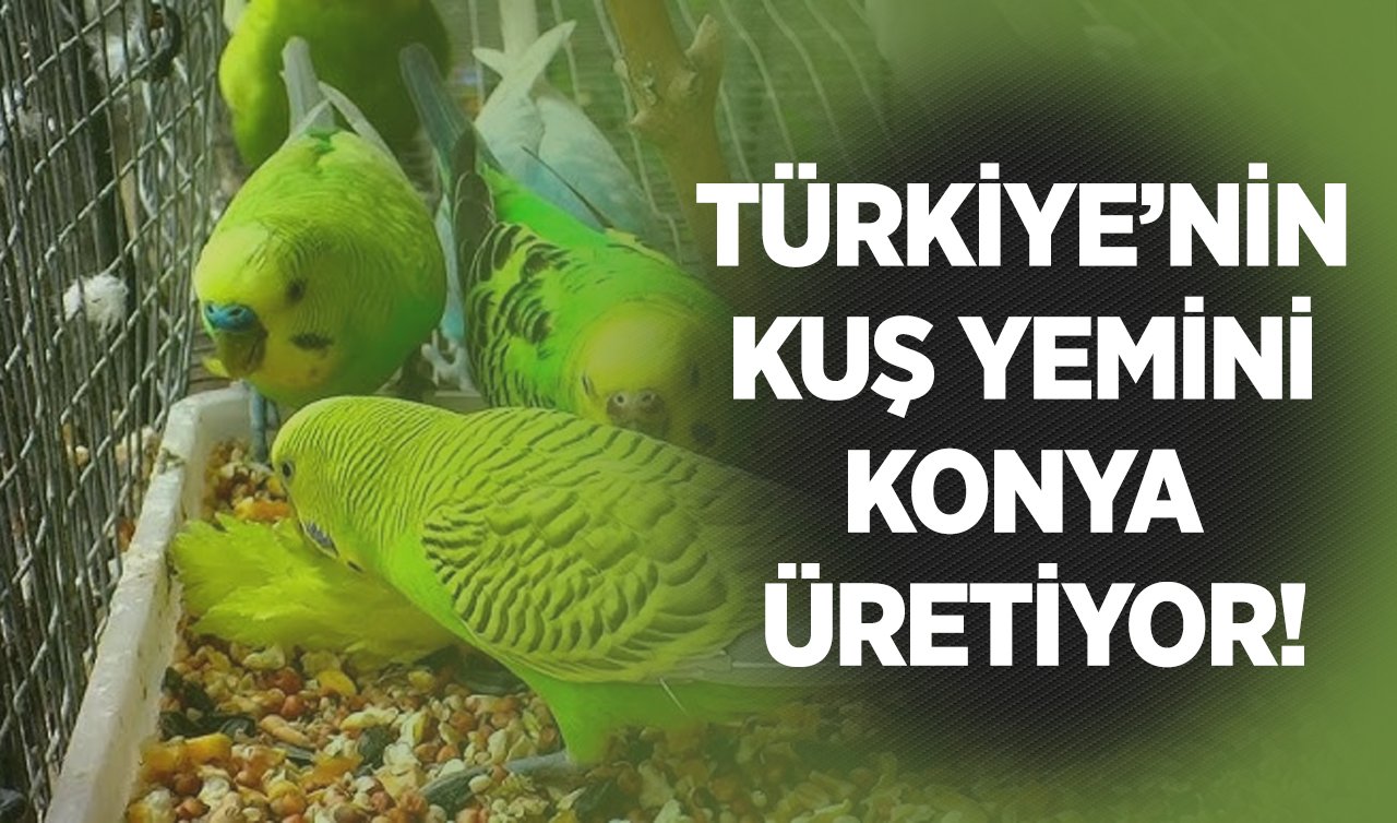 Türkiye’nin kuş yemini Konya üretiyor!