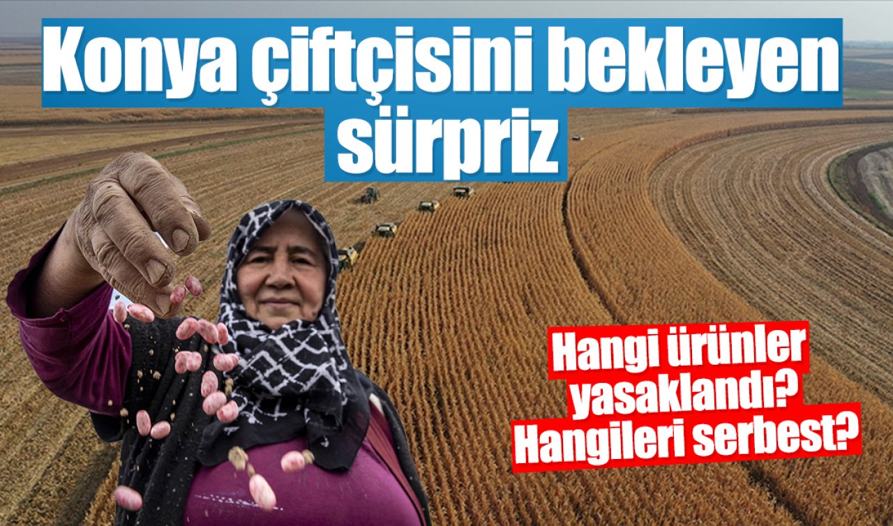 Konya çiftçisini bekleyen sürpriz: Hangi ürünler yasaklandı, hangileri serbest?