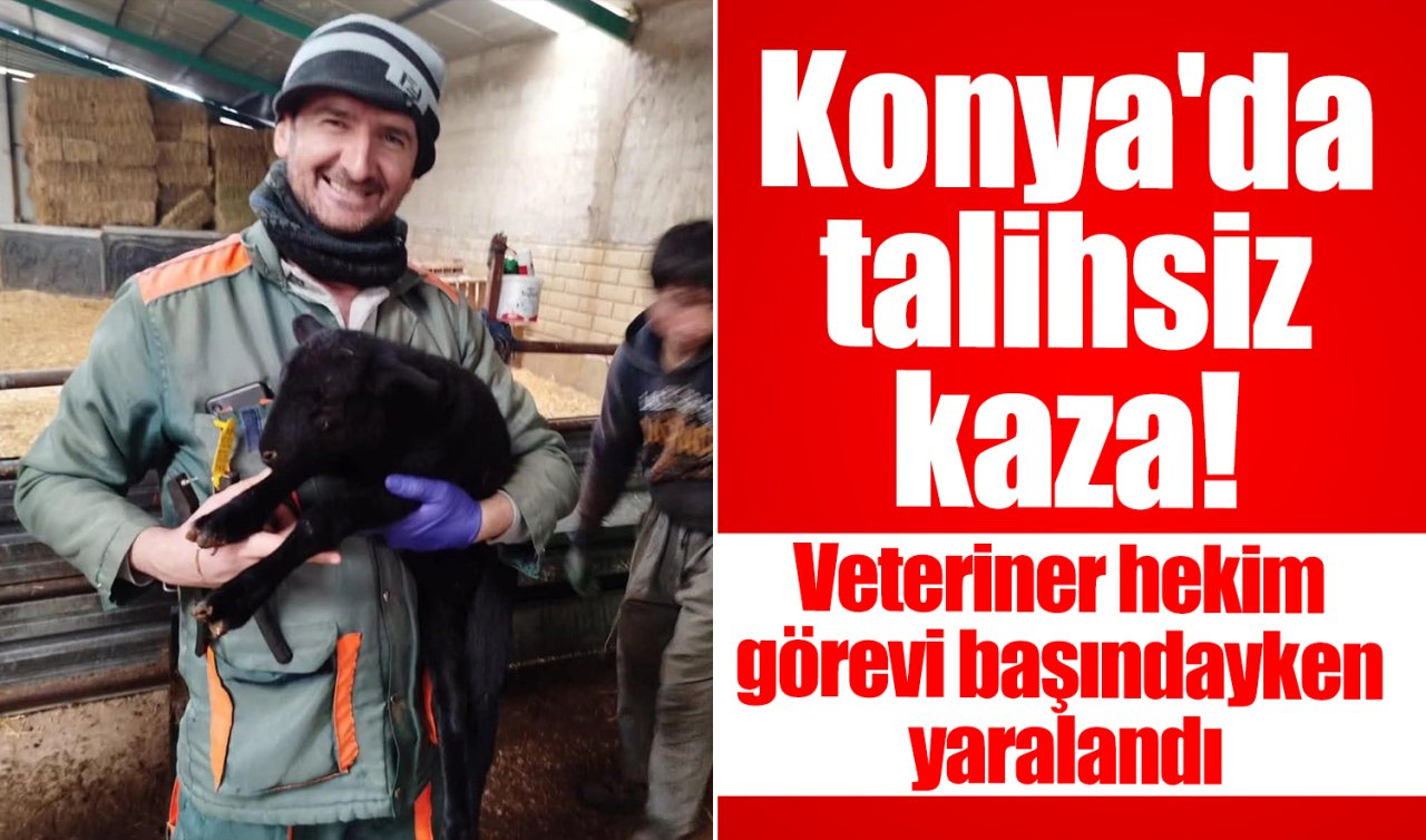 Konya’da talihsiz kaza!  Veteriner hekim görevi başındayken yaralandı