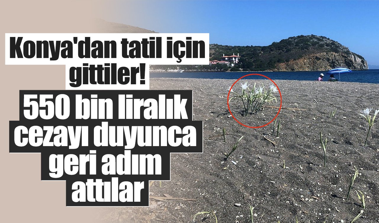 Konya’dan tatil için gittiler! 550 bin liralık cezayı duyunca geri adım attılar