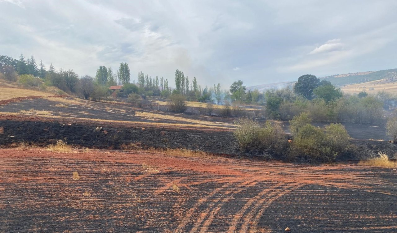 Arazi yangını: 250 dönüm tarla ve 15 dönüm ağaçlık alan zarar gördü