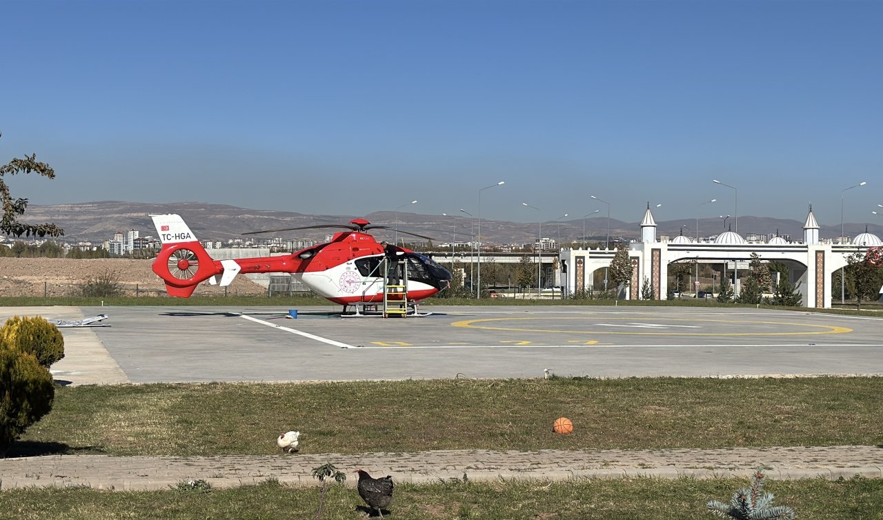 Ormanda ayı saldırısına uğradı!
