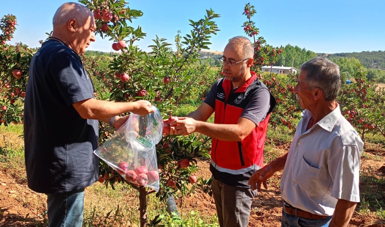 Beyşehir’de hasat öncesi pestisit denetimleri