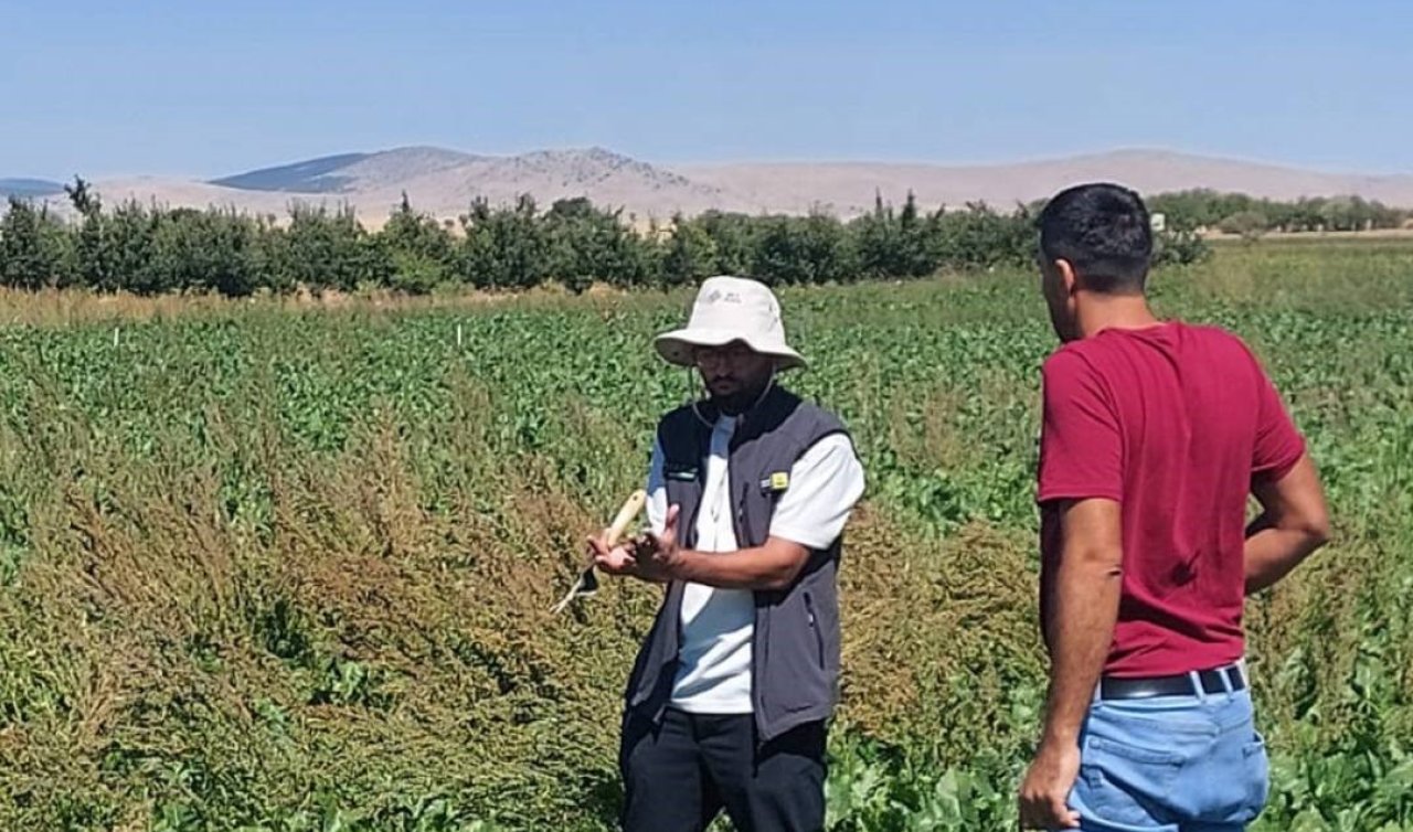Konya’da şeker pancarı tarlalarına drone destekli müdahale