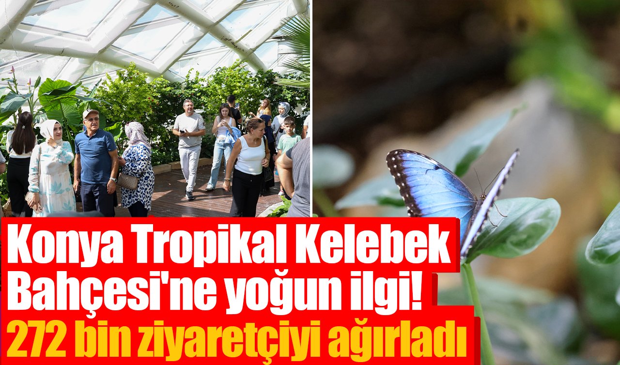 Konya Tropikal Kelebek Bahçesi’ne yoğun ilgi!  272 bin ziyaretçiyi ağırladı