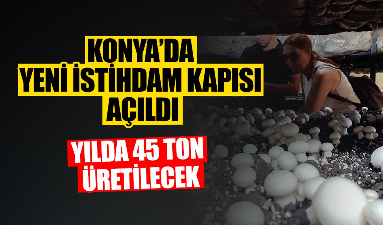 Konya’da yılda 45 ton üretilecek! İlçeye yeni istihdam kapısı 