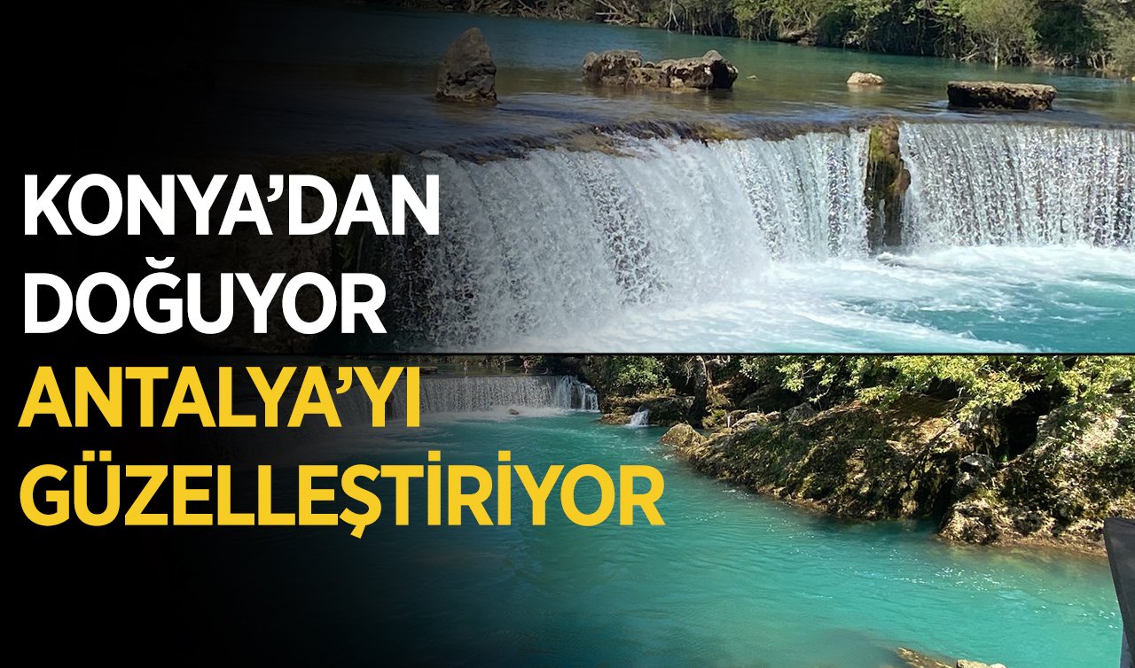 Konya’dan doğuyor Antalya’yı güzelleştiriyor