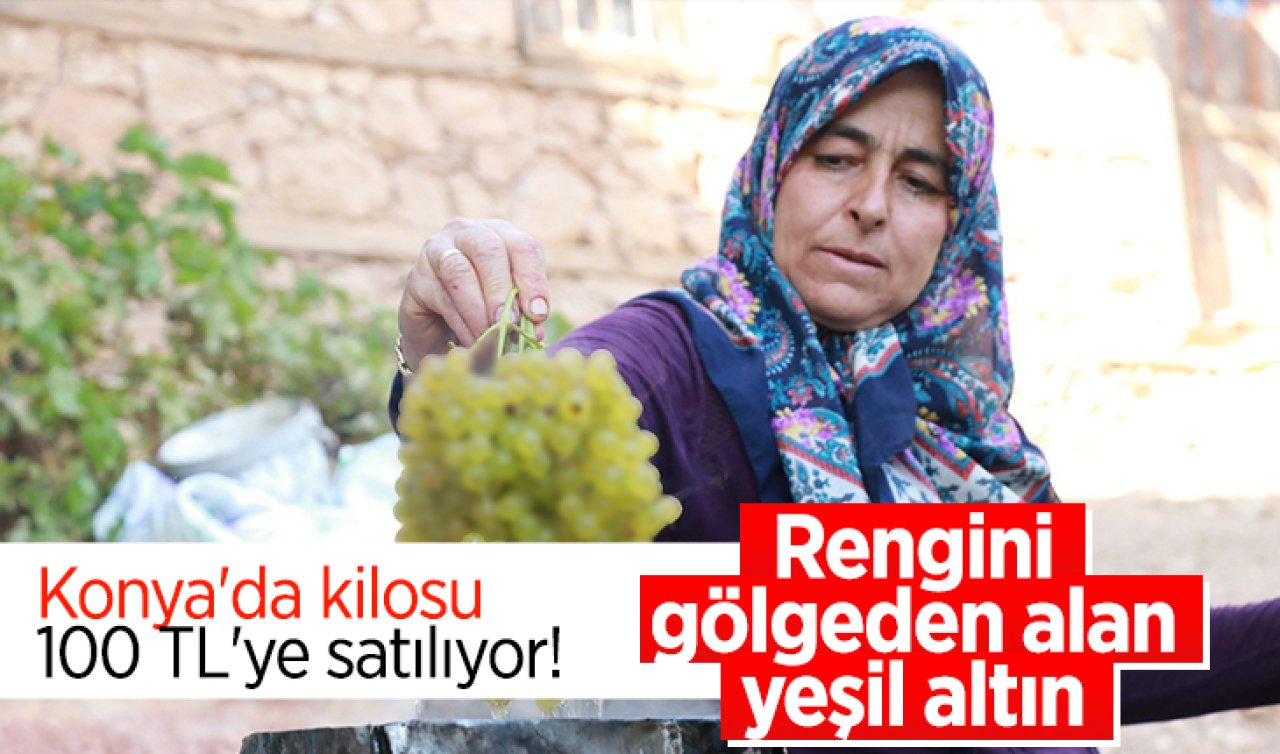Konya’da kilosu 100 TL’ye satılıyor! Rengini gölgeden alan yeşil altın 