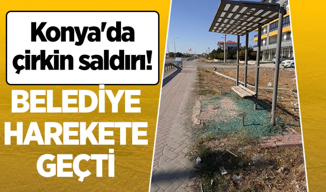Konya’da çirkin saldırı! Belediye harekete geçti