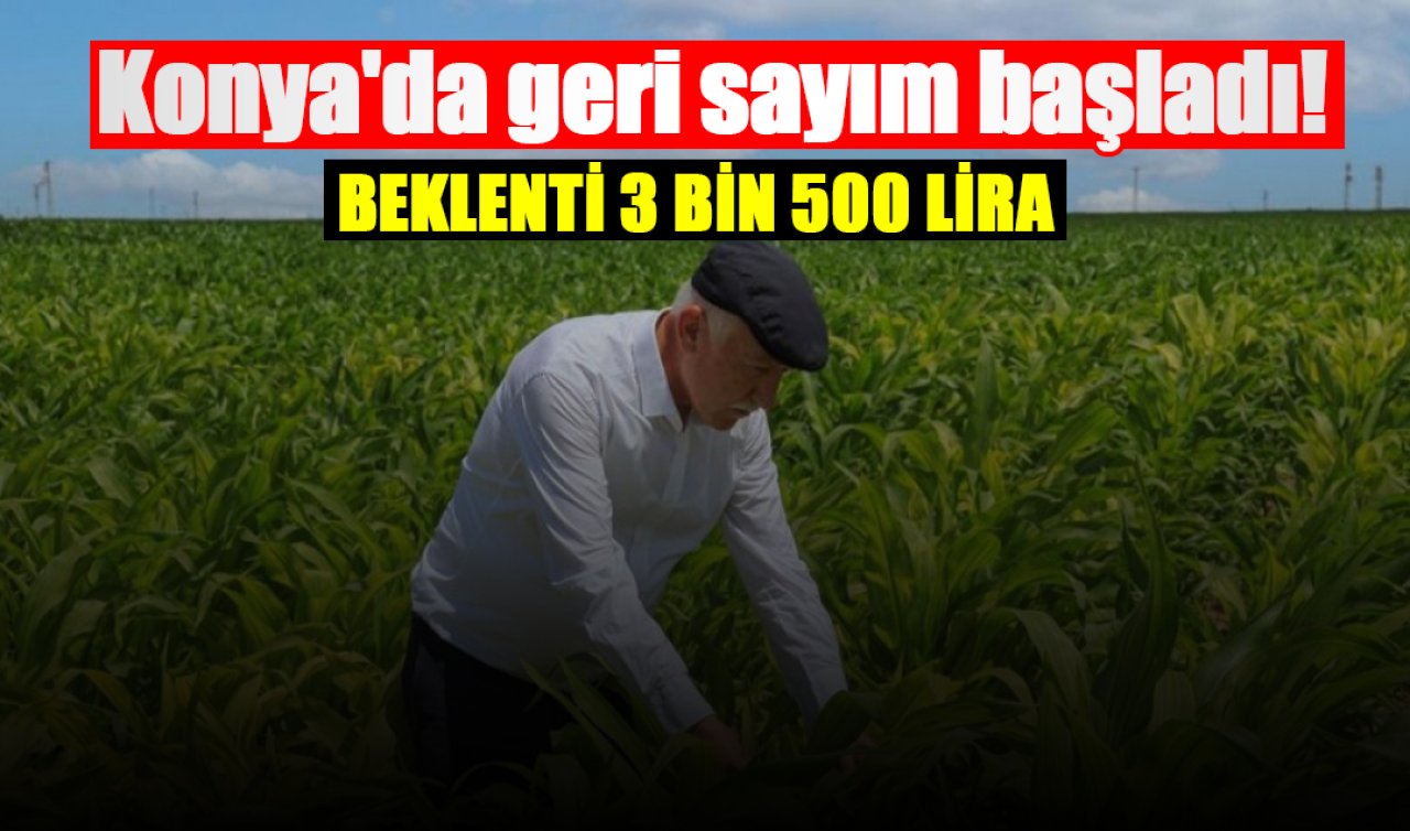 Konya’da geri sayım başladı! 7 ilçe başı çekiyor: Beklenti 3500 lira! 