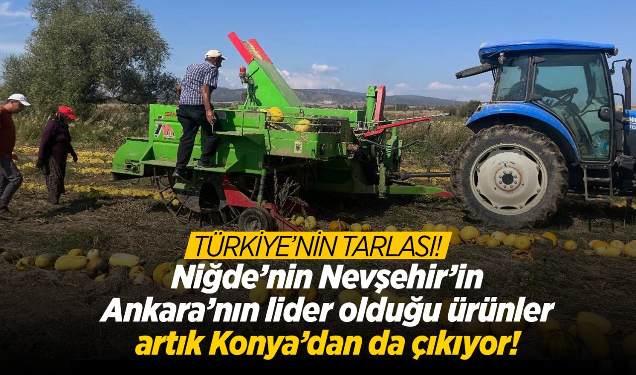 Türkiye’nin tarlası! Niğde’nin, Nevşehir’in, Ankara’nın lider olduğu ürünler artık Konya’dan da çıkıyor!