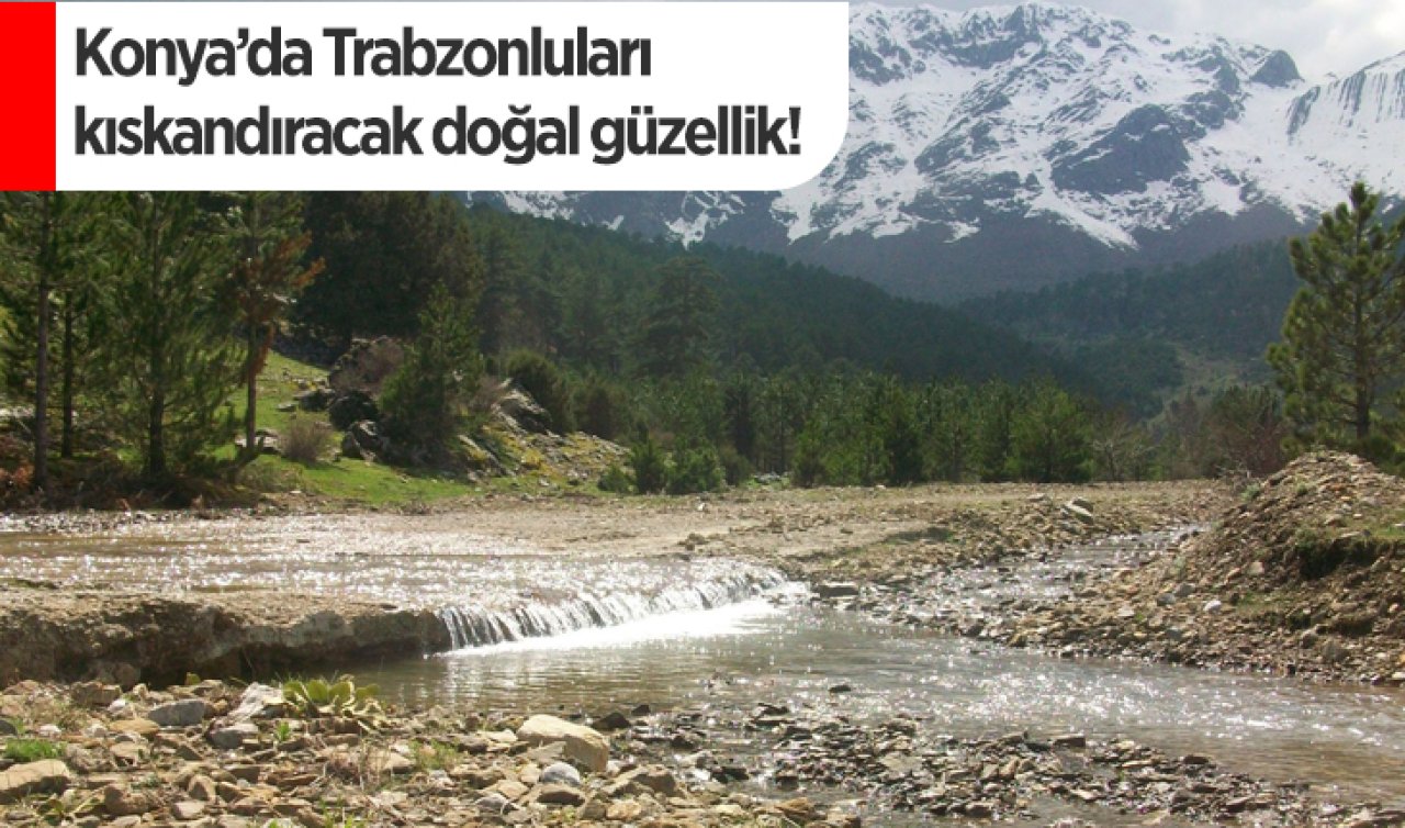 Konya’da Trabzonluları kıskandıracak doğal güzellik!