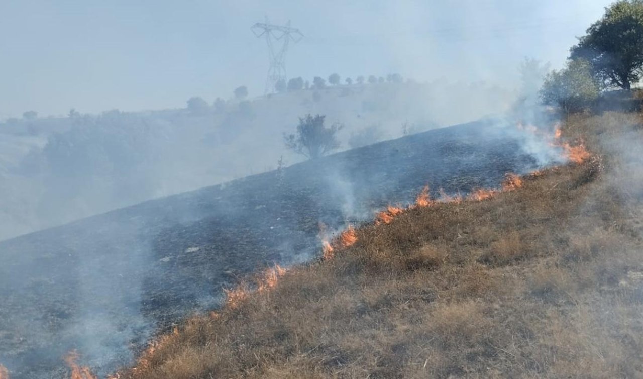 Tokat’ta makilik alanda yangın