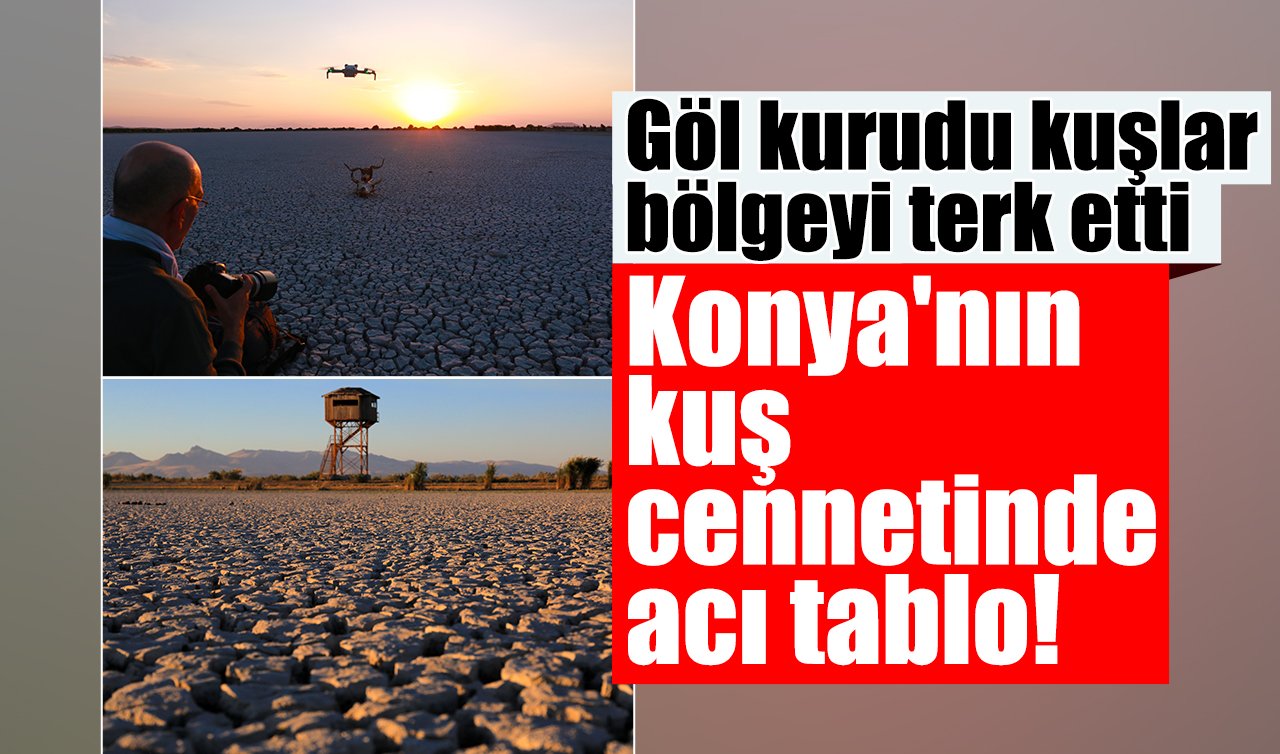 Konya’nın kuş cennetinde acı tablo! Göl kurudu kuşlar bölgeyi terk etti