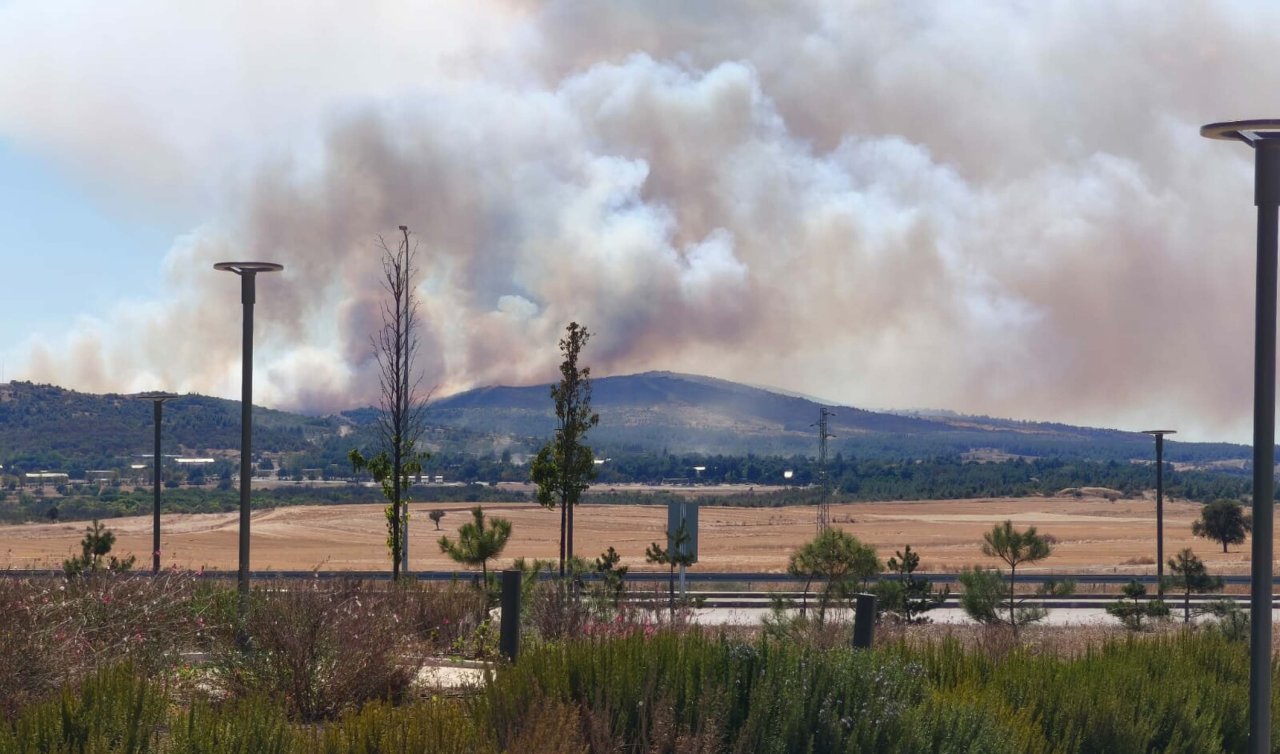 Çanakkale Gelibolu’da tarım arazisinde çıkan yangın ormana sıçradı