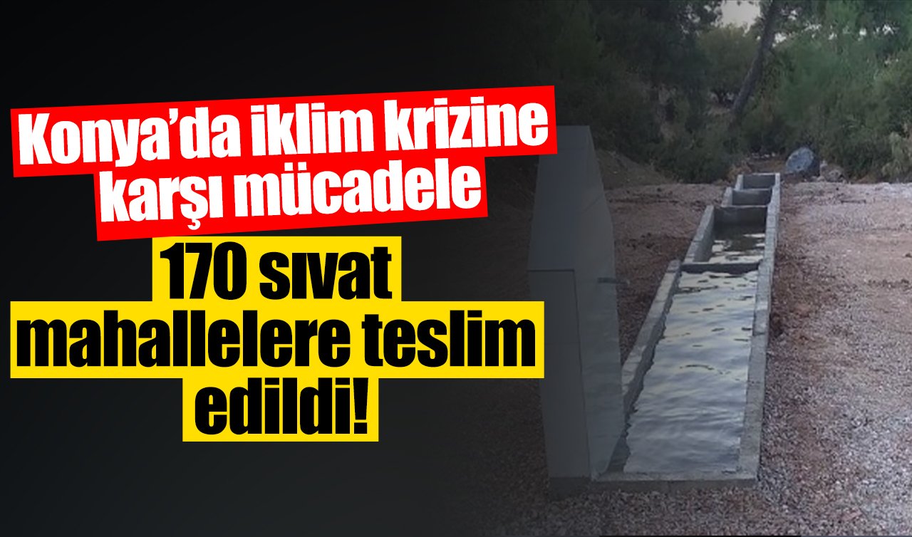 Konya’da iklim krizine karşı mücadele: 170 sıvat mahallelere teslim edildi!
