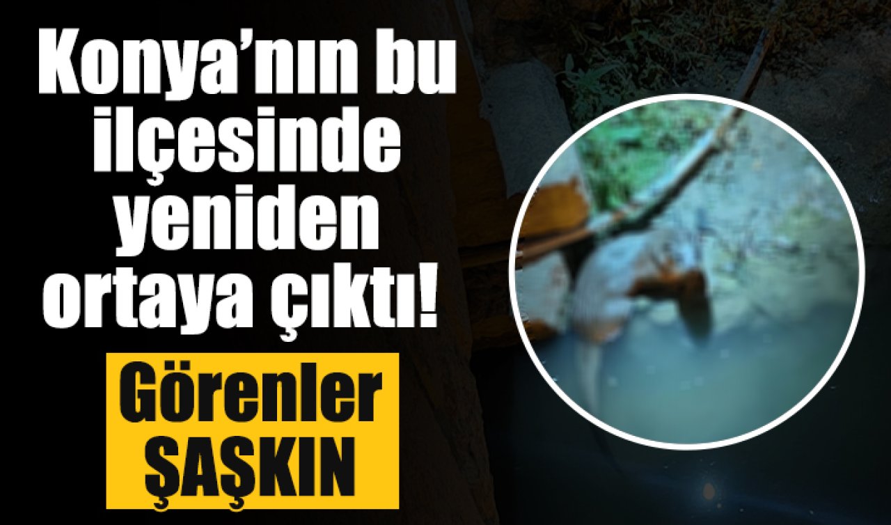 Konya’nın bu ilçesinde yeniden ortaya çıktı! Görenler şaşkın