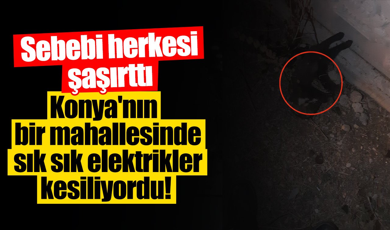 Konya’nın bir mahallesinde sık sık elektrikler kesiliyordu! Sebebi herkesi şaşırttı