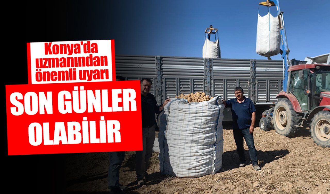 Konya’da uzmanından önemli uyarı! Son günler olabilir: Hemen kontrol edin! 