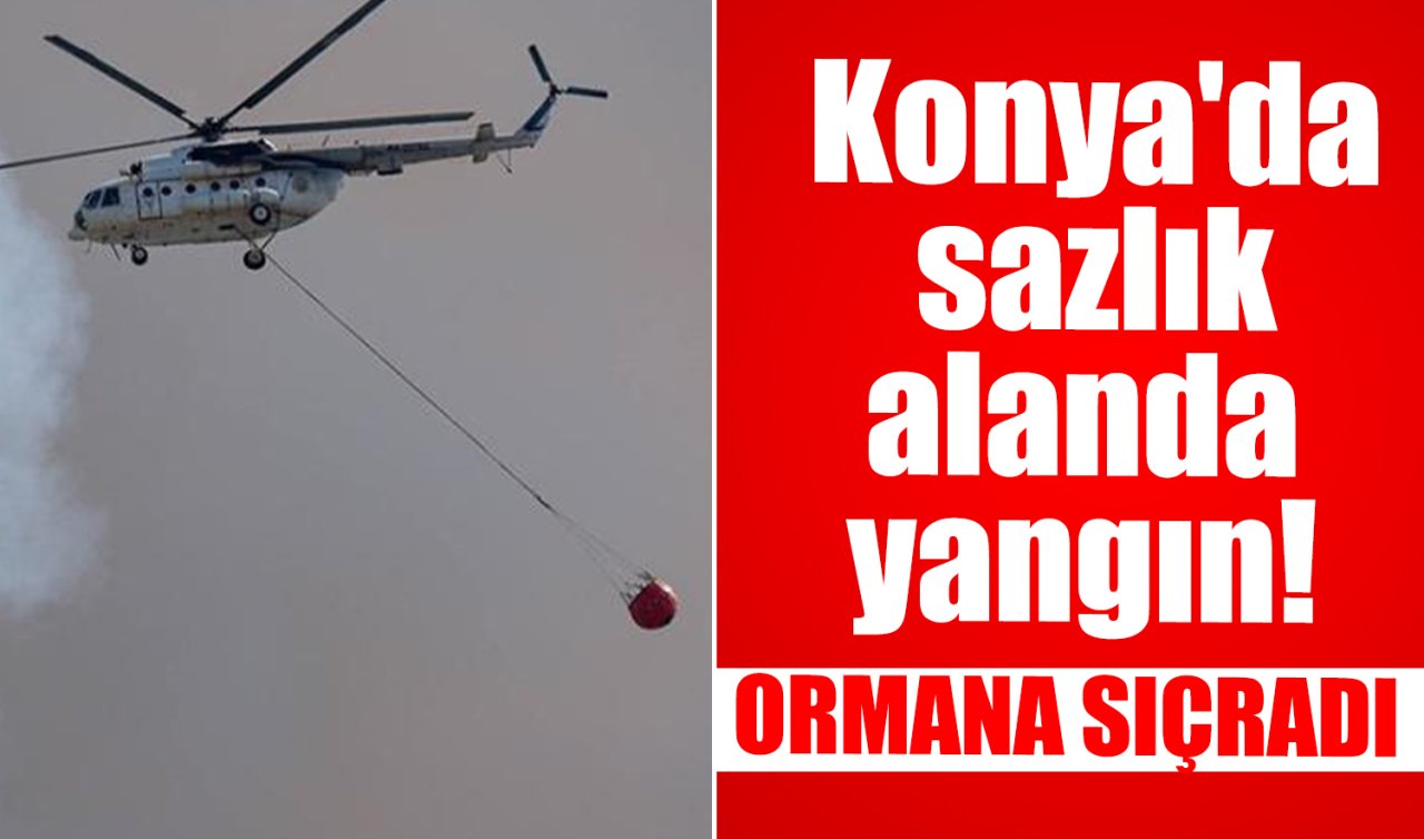 Konya’da sazlık alandaki yangın ormana sıçradı