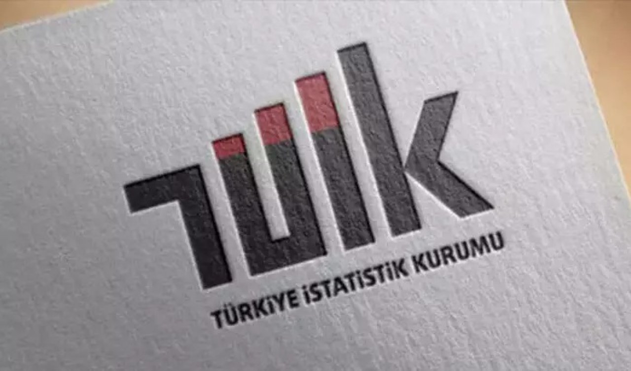 TÜİK: İhracatın yüzde 44,4’ünü büyük ölçekli girişimler yaptı