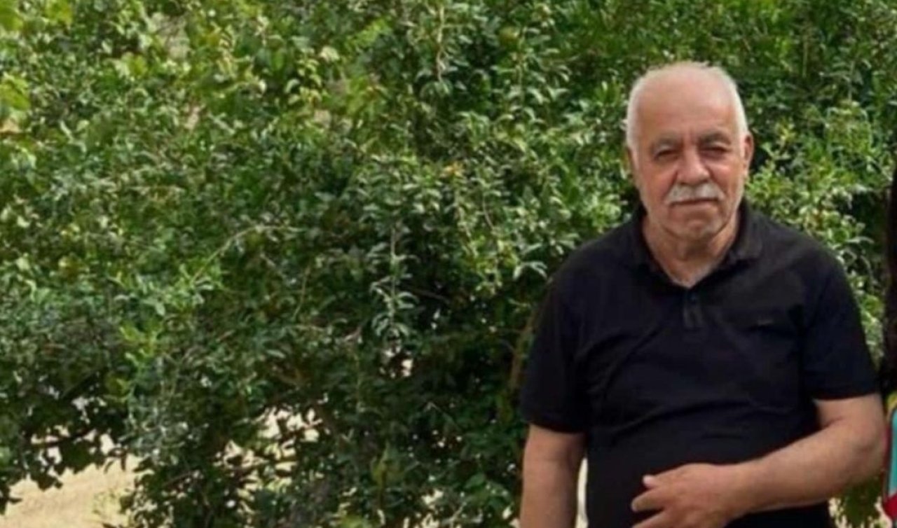 Ceviz toplamak için çıktığı ağaçtan düşen muhtar öldü