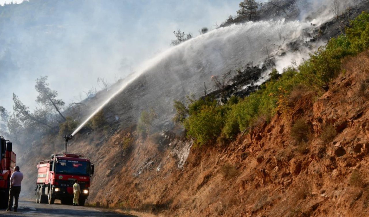 Balıkesir’deki orman yangını kontrol altına alındı