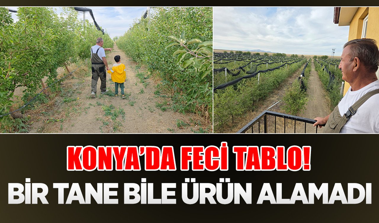 Konya’da feci tablo! Bir tane bile ürün alamadı