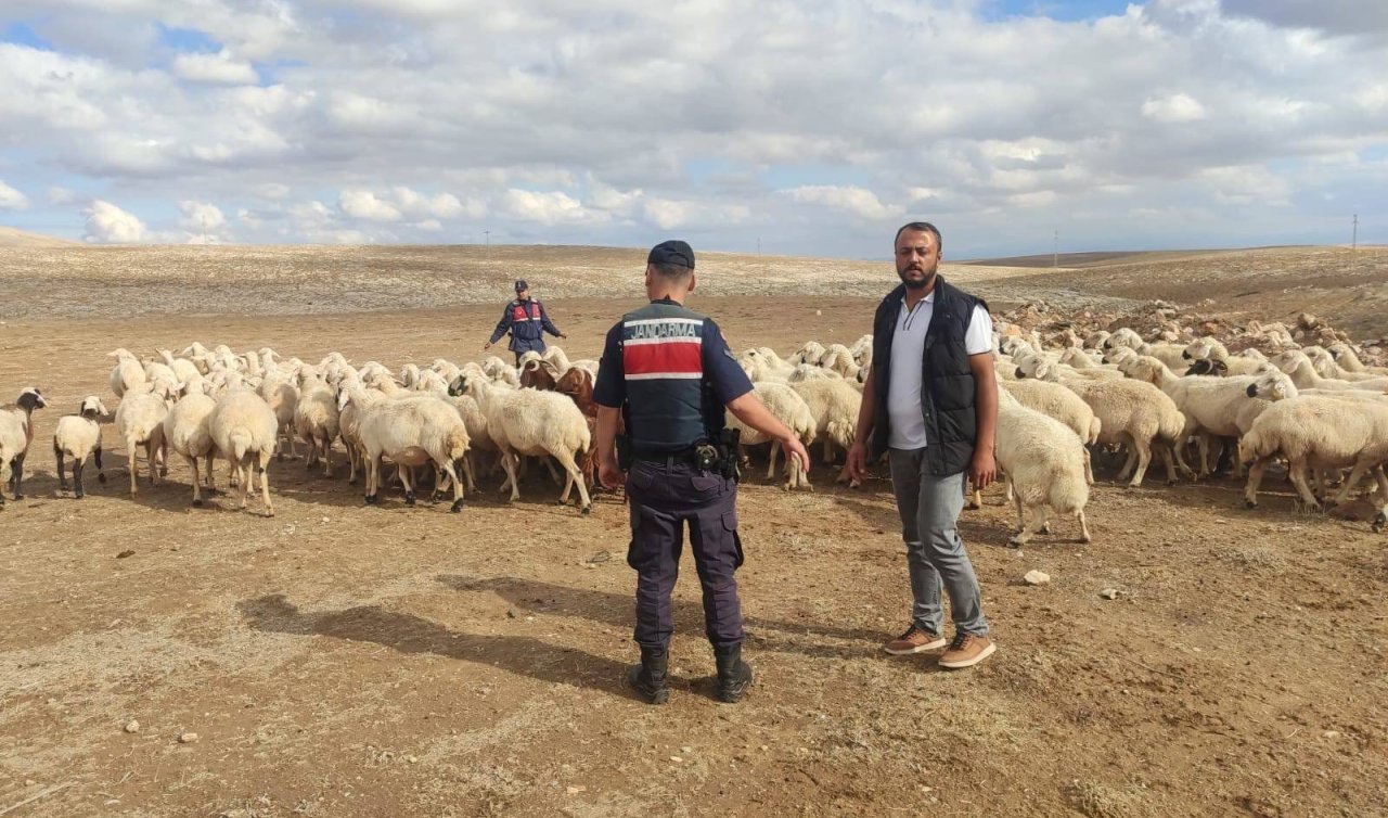 Konya’da kaybolan 93 küçükbaş hayvan dron desteğiyle bulundu