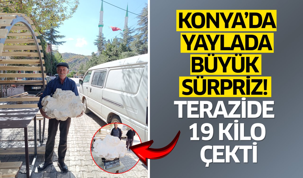 Konya’da yaylada büyük sürpriz! Terazide 19 kilo çekti