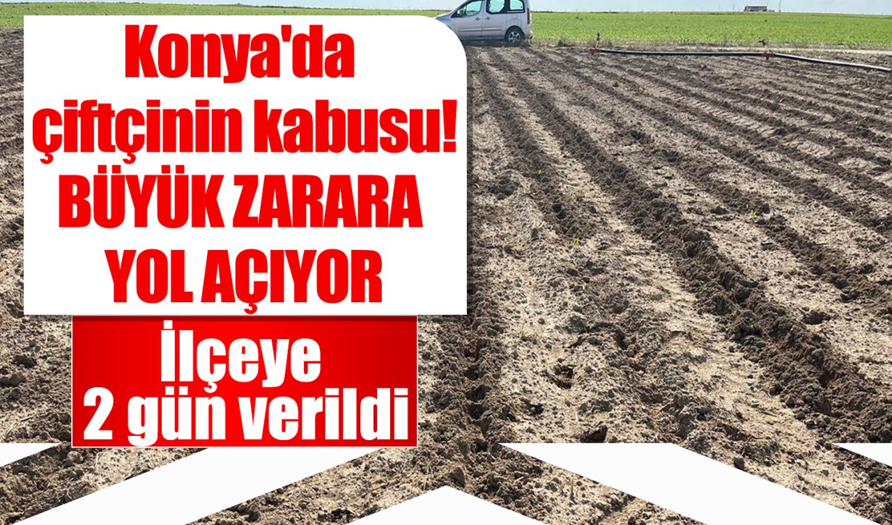  Konya’da çiftçinin kabusu! İlçeye 2 gün verildi