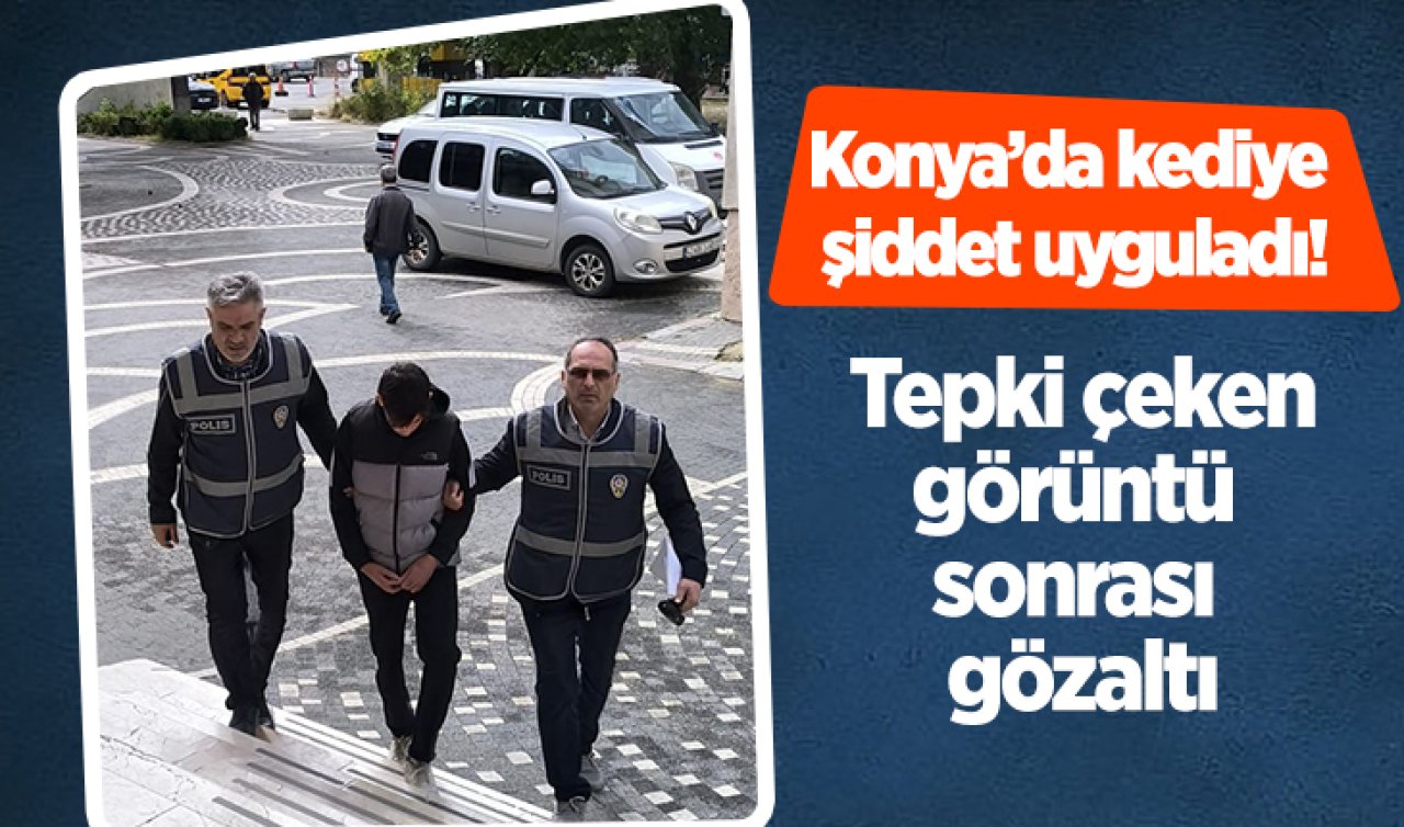 Konya’da kediye şiddet uyguladı! Tepki çeken görüntü sonrası gözaltı